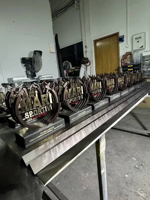 Trofee personalizate pentru premiere